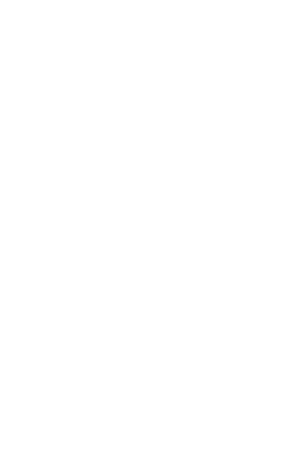 icon-birne